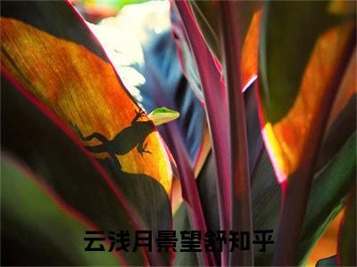 云浅月景望舒小说在线阅读（云浅月景望舒）全文免费阅读无弹窗大结局