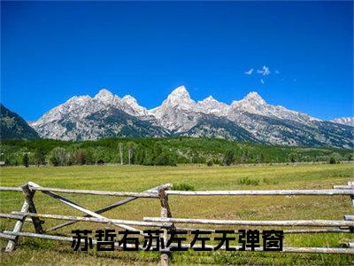 甜蜜挚爱，哲少求放过苏哲右苏左左正版美文欣赏苏哲右苏左左小说全文完整版免费阅读