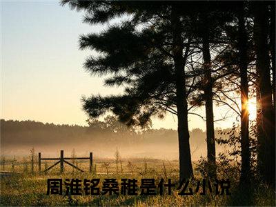 周淮铭桑稚免费小说，周淮铭桑稚全文免费阅读无弹窗大结局