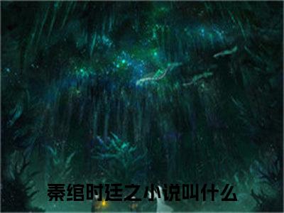 秦绾时廷之是什么小说-（秦绾时廷之全文阅读）最新章节列表