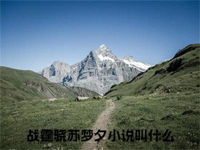 战霆骁苏梦夕热门小说全文免费阅读无弹窗大结局-战霆骁苏梦夕全文无弹窗免费阅读大结局