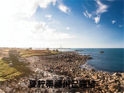 夏柠秦阅川免费夏柠秦阅川读无弹窗最新章节列表_笔趣阁（夏柠秦阅川）