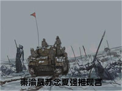 秦渝晟苏念夏全文(秦渝晟苏念夏)全文免费阅读无弹窗大结局_ 秦渝晟苏念夏全文免费阅读最新章节列表