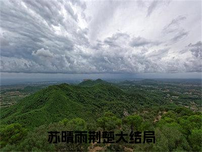 苏晴雨荆楚全文（苏晴雨荆楚）全文免费阅读无弹窗大结局_苏晴雨荆楚全文最新章节列表_笔趣阁（苏晴雨荆楚）