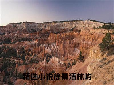 徐景清林屿（徐景清林屿）小说全文免费阅读无弹窗大结局_（徐景清林屿）小说全文免费阅读最新章节列表笔趣阁