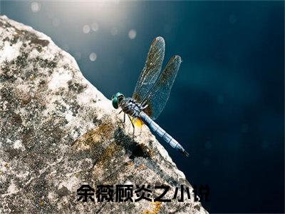 余薇顾炎之全文免费阅读大结局 余薇顾炎之小说最新章节阅读无弹窗