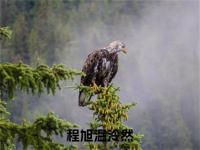 程旭温泠然小说（程旭温泠然）全文免费阅读无弹窗大结局_程旭温泠然小说最新章节列表