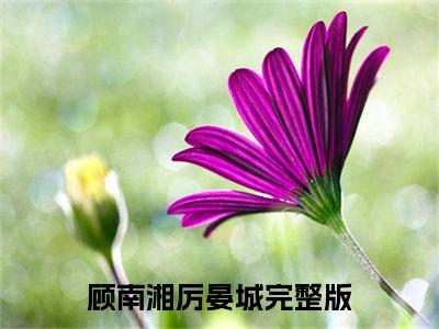 顾南湘厉晏城免费小说-顾南湘厉晏城全文阅读目录