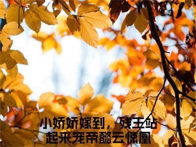 帝懿云惊凰（小娇娇嫁到，残王站起来宠小说）全文免费阅读无弹窗大结局_小娇娇嫁到，残王站起来宠小说免费阅读-笔趣阁