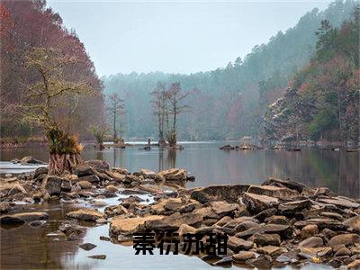 秦衍苏甜（秦衍苏甜）全文免费阅读无弹窗_秦衍苏甜小说在线阅读_笔趣阁