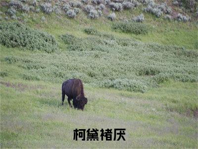 柯黛褚厌小说免费阅读-柯黛褚厌无广告全文阅读