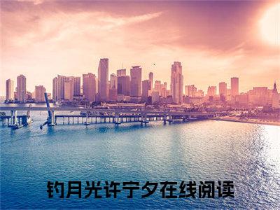 钓月光许宁夕全文小说（钓月光许宁夕）在线阅读无弹窗大结局_钓月光许宁夕全文在线阅读无弹窗