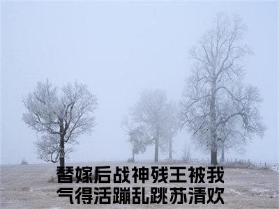 替嫁后战神残王被我气得活蹦乱跳苏清欢是哪部小说的主角-（替嫁后战神残王被我气得活蹦乱跳苏清欢）全文无弹窗完整版阅读