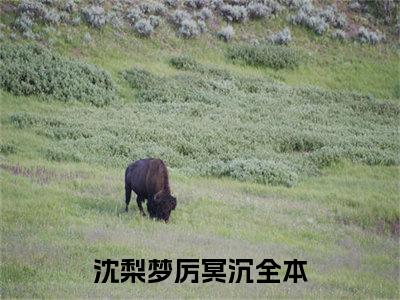 沈梨梦厉冥沉小说完整版阅读 沈梨梦厉冥沉全文在线赏析