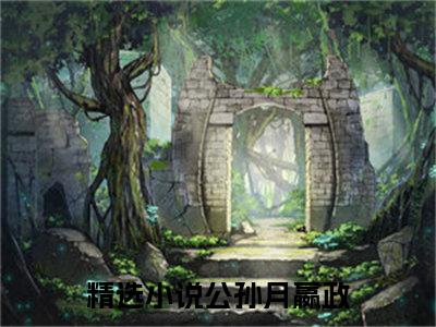 公孙月嬴政小说全文免费阅读 -公孙月嬴政在线完整版