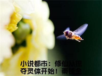 都市：修仙从掠夺灵体开始！秦锋小说免费（都市：修仙从掠夺灵体开始！秦锋）全文免费阅读无弹窗大结局_（都市：修仙从掠夺灵体开始！秦锋）都市：修仙从掠夺灵体开始！秦锋小说免费免费阅读无弹窗最新章节列表