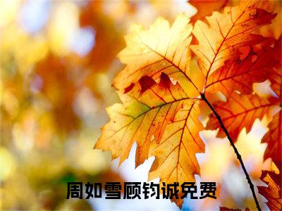 《周如雪顾钧诚》全文免费阅读最新章节大结局-周如雪顾钧诚无弹窗阅读