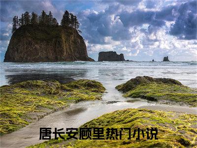 唐长安顾里最新章节免费阅读-唐长安顾里全文无弹窗试读