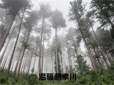 温暖谢聿川热门言情小说推荐阅读，（温暖谢聿川）在哪免费看