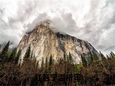 江若宁温祈年小说最新章节（江若宁温祈年）全文免费阅读无弹窗大结局_江若宁温祈年免费阅读（江若宁温祈年小说）