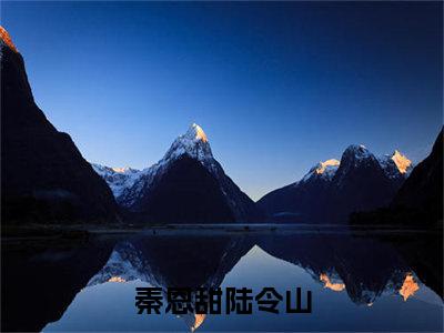 秦恩甜陆令山（总裁有令：宝贝，不许跑！小说）全文在线阅读无弹窗大结局_（总裁有令：宝贝，不许跑！小说）秦恩甜陆令山在线阅读无弹窗最新章节列表