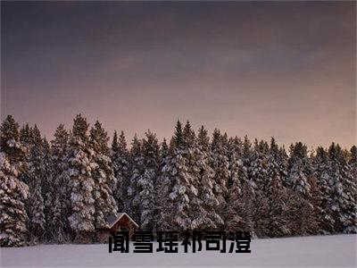 闻雪瑶祁司澄是哪部小说的主角，闻雪瑶祁司澄全文无弹窗完整版阅读