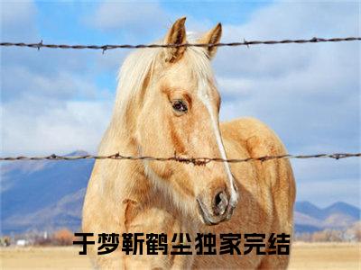 于梦靳鹤尘（于梦靳鹤尘）最火免费小说最新更新-于梦靳鹤尘（于梦靳鹤尘）全文已更新最新章节