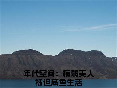 苏婉（年代空间：病弱美人被迫咸鱼生活小说）在线阅读全文-年代空间：病弱美人被迫咸鱼生活小说免费阅读完结版全文