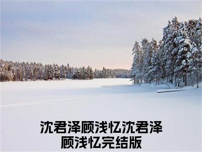 沈君泽顾浅忆全文免费阅读无弹窗大结局_（沈君泽顾浅忆）沈君泽顾浅忆全文免费无弹窗最新章节列表_笔趣阁