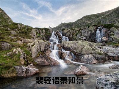 （裴轻语秦知景）小说全文免费阅读-微小说（裴轻语秦知景）完整版阅读