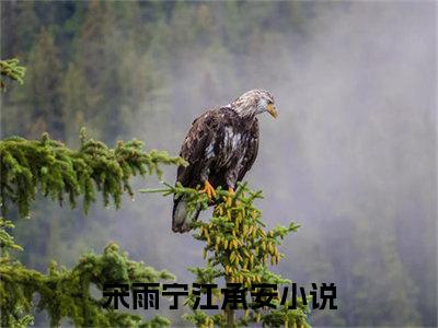 宋雨宁江承安（宋雨宁江承安）全文免费阅读无弹窗_宋雨宁江承安小说在线阅读_笔趣阁