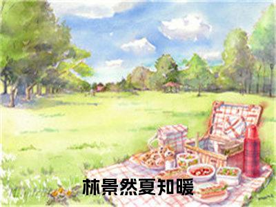 林景然夏知暖是什么小说 林景然夏知暖全本免费阅读