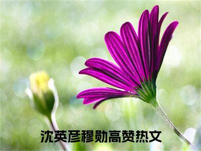 沈英彦穆勋小说大结局免费阅读，沈英彦穆勋抖音新上热文分享