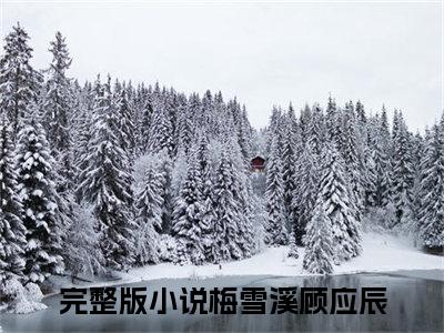 梅雪溪顾应辰最后结局 梅雪溪顾应辰完结版免费阅读