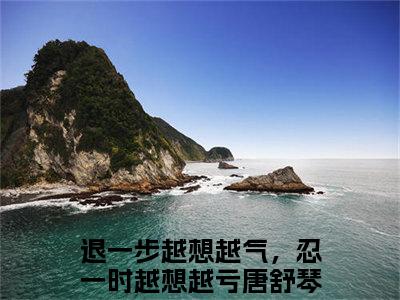 【新书】《退一步越想越气，忍一时越想越亏唐舒琴》全文免费阅读无弹窗大结局-退一步越想越气，忍一时越想越亏唐舒琴全文全章节免费阅读