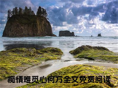 痴情难觅心何方（秦逸帆江瑾言）全文免费阅读无弹窗_痴情难觅心何方秦逸帆江瑾言最新章节免费阅读_笔趣阁