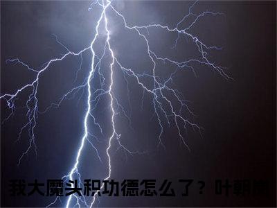 我大魔头积功德怎么了？叶朝岚免费阅读全文免费阅读无弹窗大结局_ (我大魔头积功德怎么了？叶朝岚小说免费阅读)我大魔头积功德怎么了？叶朝岚最新章节阅读