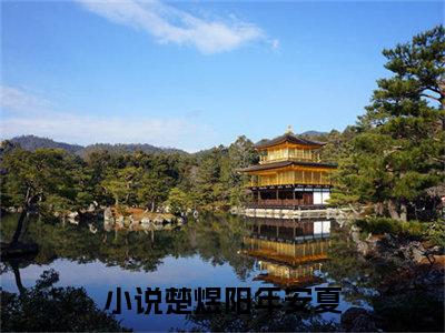 楚煜阳年安夏(楚煜阳年安夏小说)全文免费阅读无弹窗大结局_楚煜阳年安夏小说免费阅读最新章节列表_笔趣阁（楚煜阳年安夏小说）