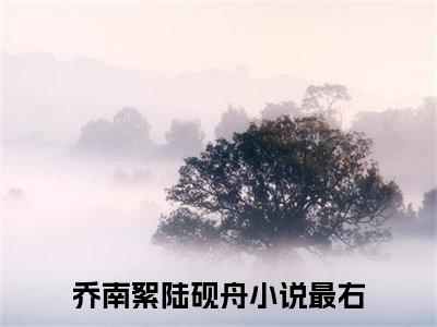 乔南絮陆砚舟小说（乔南絮陆砚舟）全文免费阅读结局-乔南絮陆砚舟全文完结版阅读