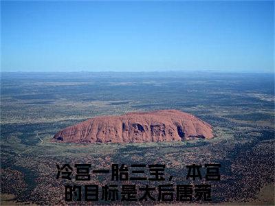 冷宫一胎三宝，本宫的目标是太后唐菀小说(冷宫一胎三宝，本宫的目标是太后唐菀)全文免费阅读无弹窗大结局_冷宫一胎三宝，本宫的目标是太后唐菀小说免费阅读无弹窗最新章节列表_笔趣阁