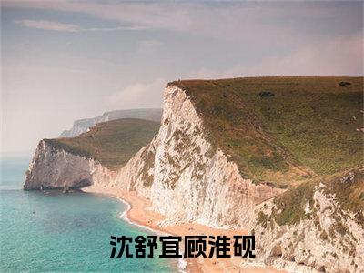 沈舒宜顾淮砚（沈舒宜顾淮砚）全文免费阅读无弹窗大结局_沈舒宜顾淮砚最新章节列表