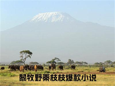 黎牧野秦枝枝小说免费阅读 黎牧野秦枝枝免费阅读无弹窗小说