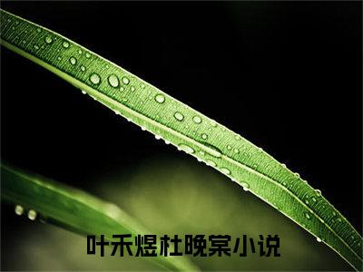 叶禾煜杜晚棠（叶禾煜杜晚棠）小说全文在线阅读_叶禾煜杜晚棠最新章节在线阅读_笔趣阁