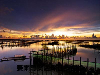 姜雨荨贺煜琛小说（姜雨荨贺煜琛全文完整版免费阅读）_姜雨荨贺煜琛小说免费最新章节列表