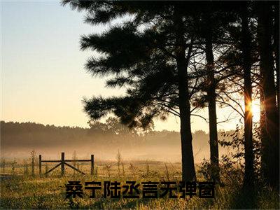 桑宁陆丞言（桑宁陆丞言）全文免费阅读无弹窗大结局_桑宁陆丞言在线阅读（桑宁陆丞言）