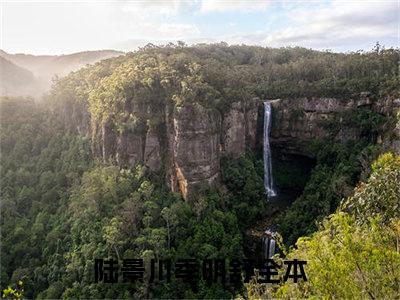 陆景川季明舒小说（陆景川季明舒）全文免费阅读结局-陆景川季明舒强推全文阅读无弹窗