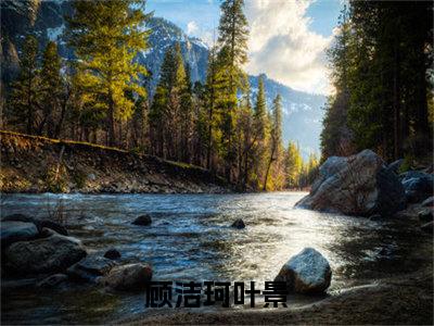 顾洁珂叶景（顾洁珂叶景）全文免费阅读无弹窗_顾洁珂叶景全文免费阅读最新章节大结局_笔趣阁