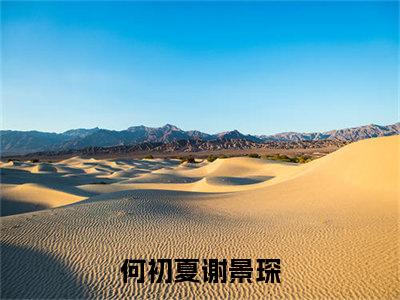 何初夏谢景琛(何初夏谢景琛)全文免费阅读无弹窗大结局_（何初夏谢景琛）的小说最新章节列表