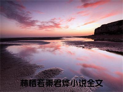 林栖若秦君烨（林栖若秦君烨）全文免费阅读无弹窗大结局-林栖若秦君烨最新章节列表-笔趣阁