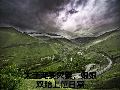 姜时若周君湛（太子宠妾灭妻，娘娘双胎上位日常）全文无弹窗大结局_姜时若周君湛在线阅读无弹窗最新章节列表_笔趣阁